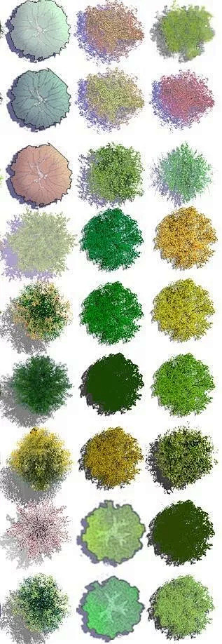 44提升你的彩平,从选植物开始(内附彩平植物psd)cactus-植物-ps贴图