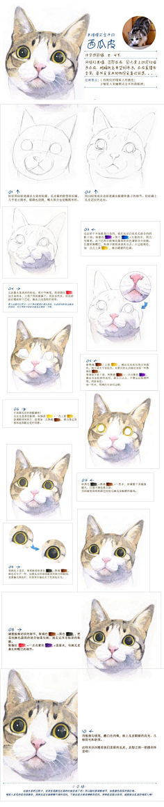 朵境采集到X 绘画原理