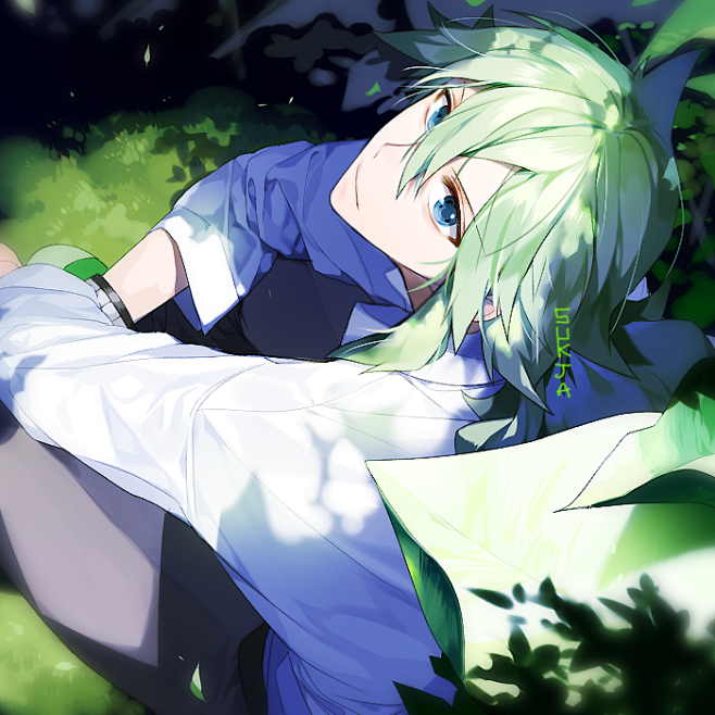 精灵宝可梦n哈尔莫尼亚p站sukja