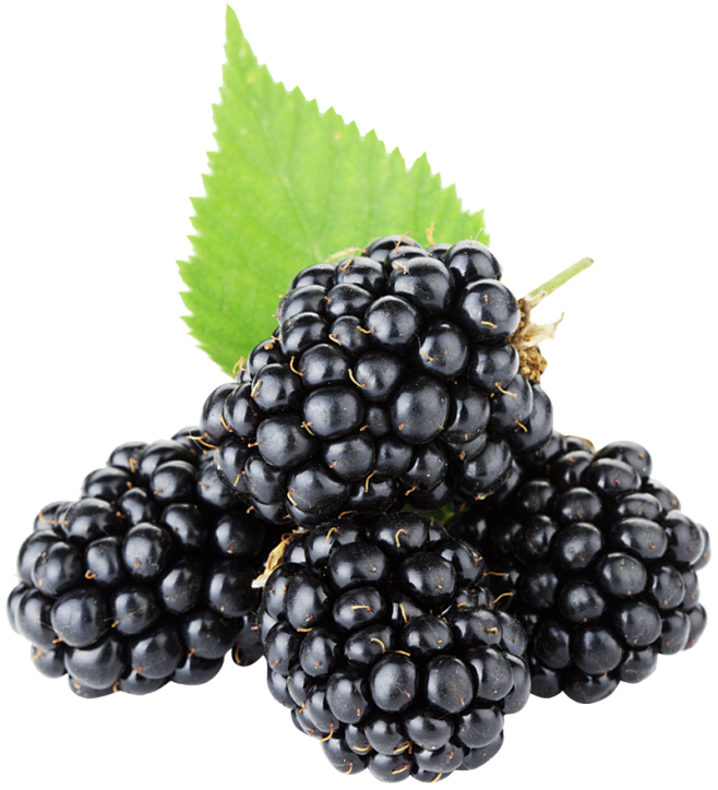 blackberrypng