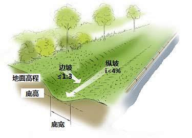 生态植草沟剖面图图片