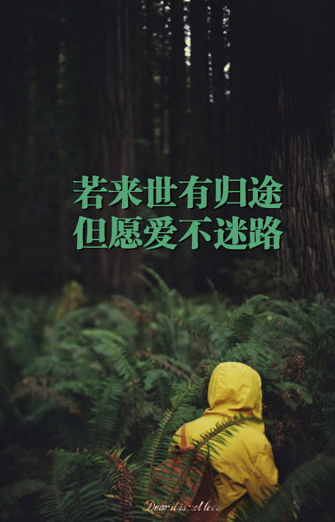 咚德恰卡采集到箴言--一句话(美文)