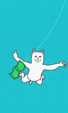 贱猫-花瓣网|陪你做生活的设计师 | li记忆的永恒贱猫短袖男女情侣t恤