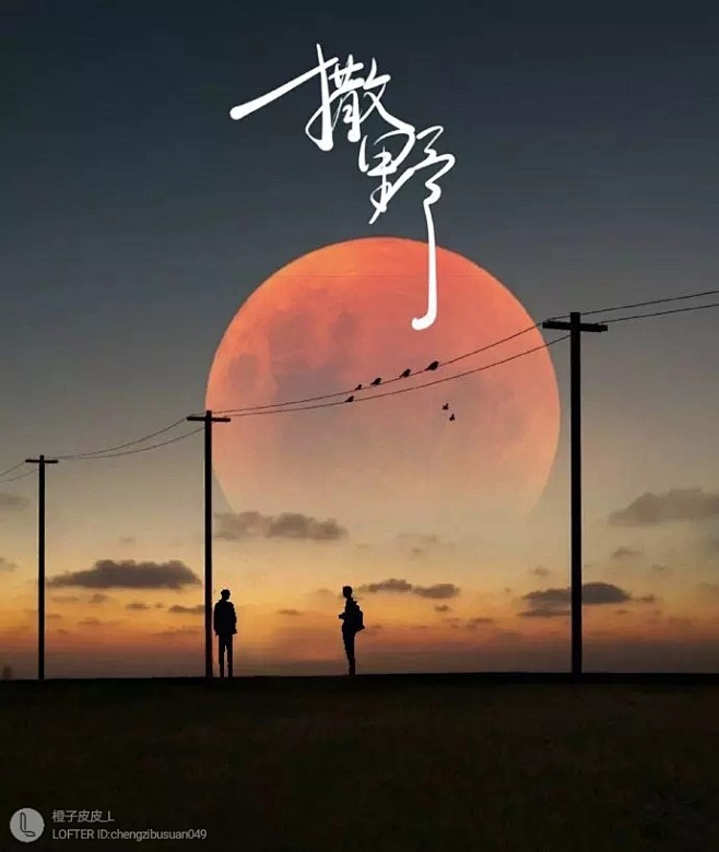 撒野夕阳图片图片