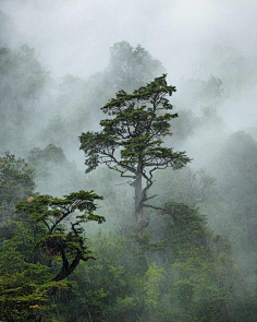 christsukina采集到风景