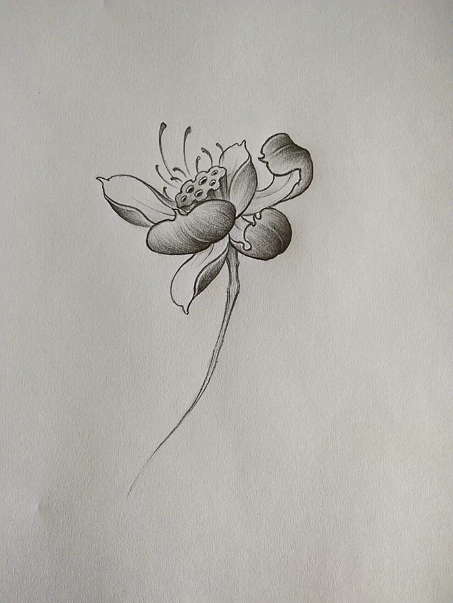 雕刻参考图玉雕图谱玉雕线稿玉雕描线图玉雕入门玉雕图案玉雕描图中国