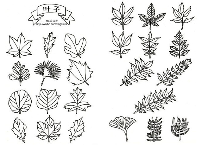 簡筆畫園藝植物簡筆畫手繪小素材一組馬住學