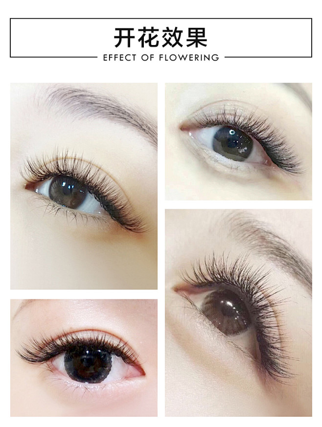睫毛嫁接山茶花嫁接睫毛一秒开花睫毛假眼睫毛超自然貂毛淘宝网