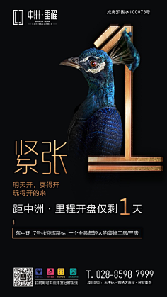 ===白白采集到倒计时