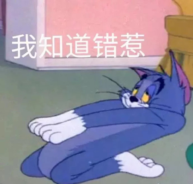 猫和老鼠道歉表情包图片