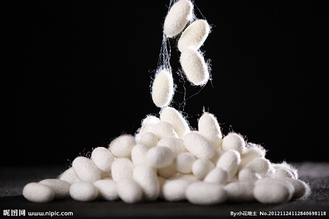 蚕茧的搜索结果百度图片搜索