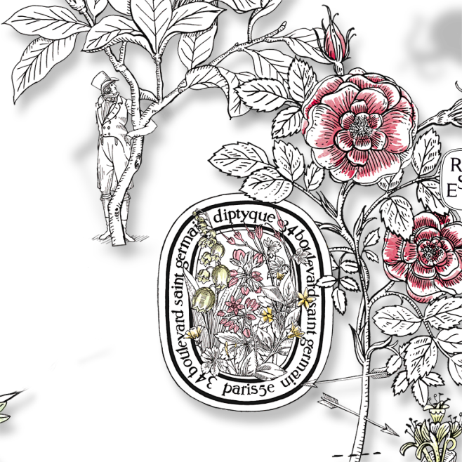 21:02:10diptyque花园绘画·风格 插画 涂鸦春秋星渐同采自www