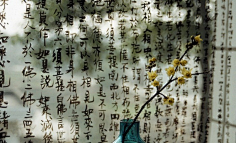 嫃忧采集到古意悠悠 景物