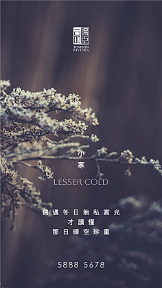 棉大花儿采集到汤臣一品合集