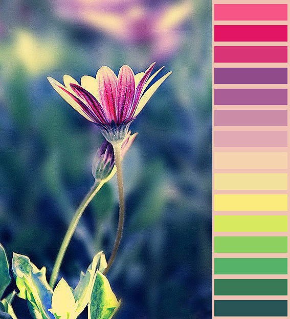 配色-花瓣网|陪你做生活的设计师 | 配色