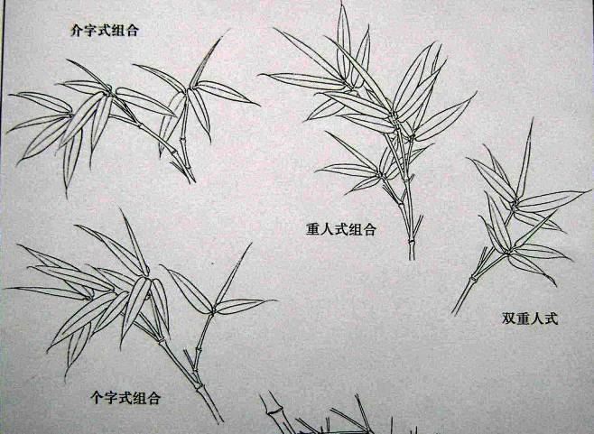國畫技法竹子的工筆和寫意畫法圖文教程好網角文章收藏