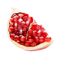 xx仙人掌xx采集到fruit
