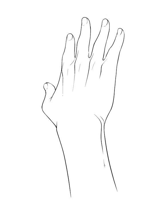 图片插画手是最难画的部分有了这些线稿害怕不会画手吗插画吧百度贴吧