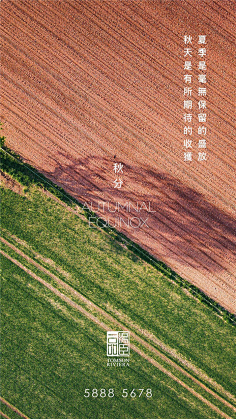 棉大花儿采集到汤臣一品合集