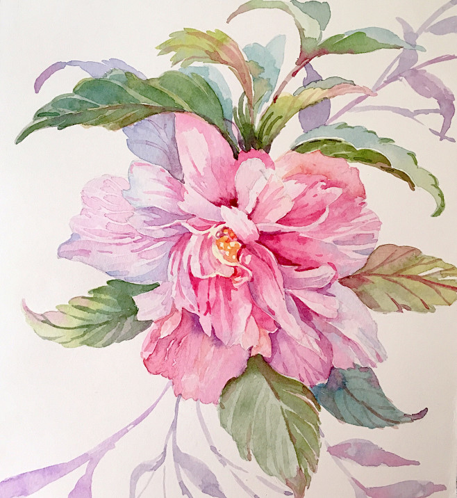 水彩花卉重瓣木槿ppng