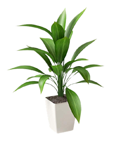 归零Zerooo采集到植物