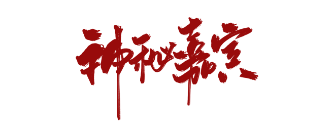 嘉宾文字图片