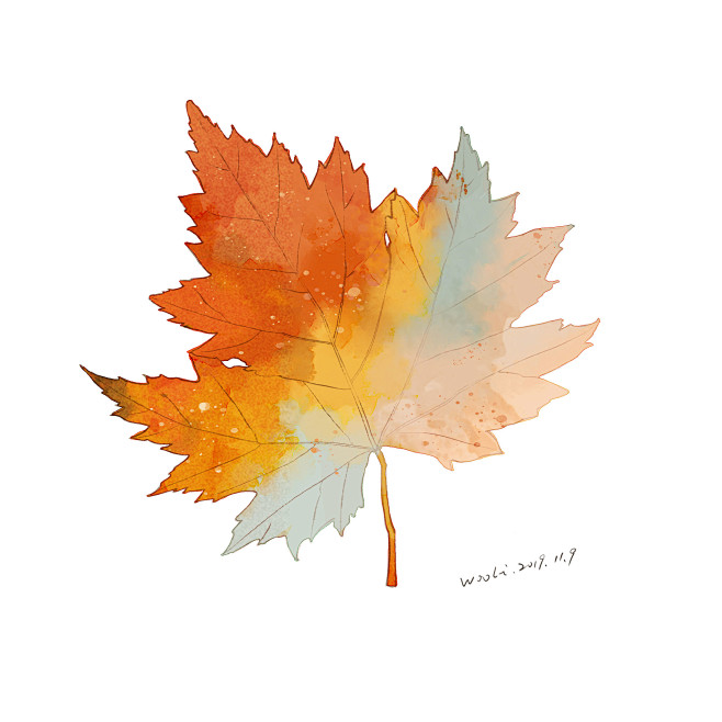 枫叶水彩插画
