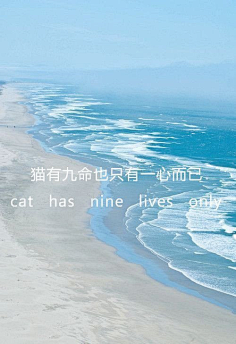 浮世未歇采集到文字控