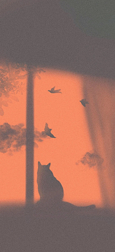 猫 花瓣网 陪你做生活的设计师 Catullu 的微博 微博