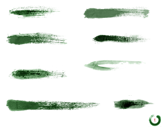 迈克尔杨采集到笔刷,画笔,字画
