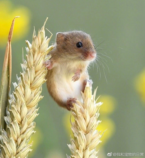 愿天堂没有胶水…