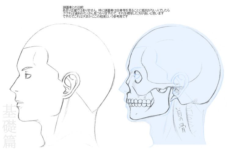 侧脸绘画教程 看图 平静的海吧 百度贴吧