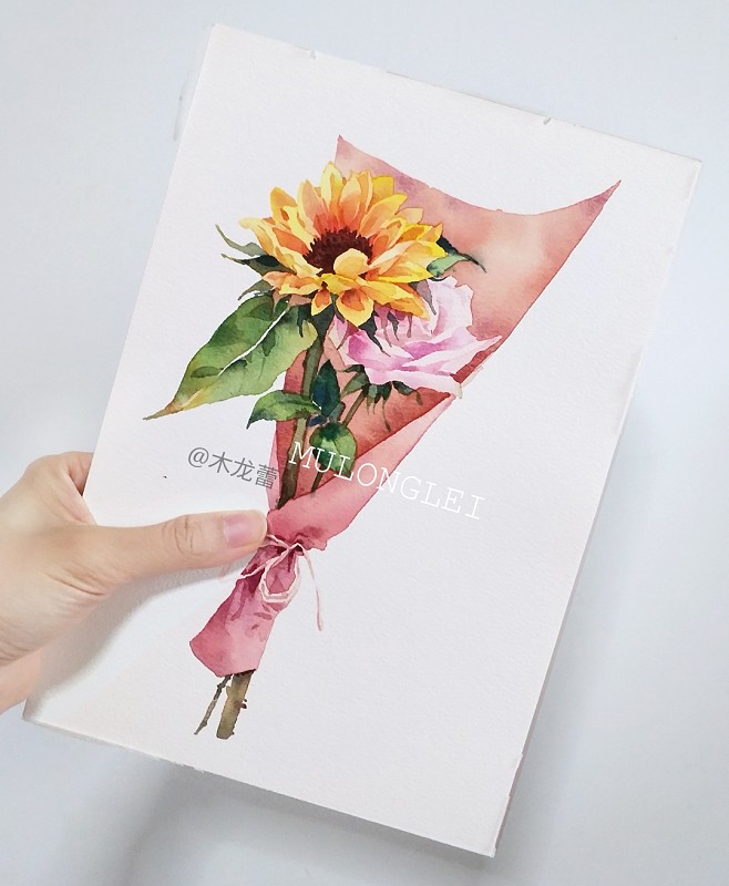 木龙蕾 绘 向日葵花束花卉插画手绘水彩