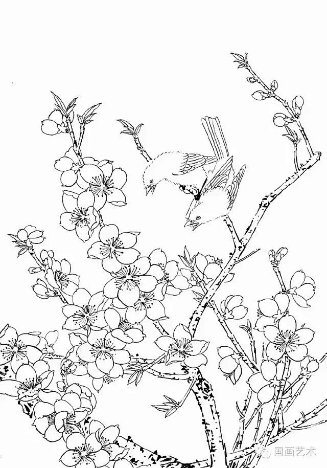 工笔线描桃花美