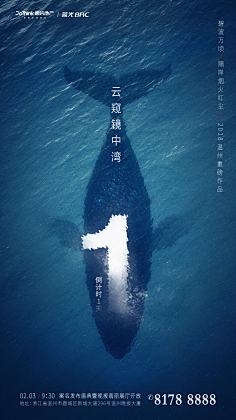 南瓜大校呐采集到倒计时