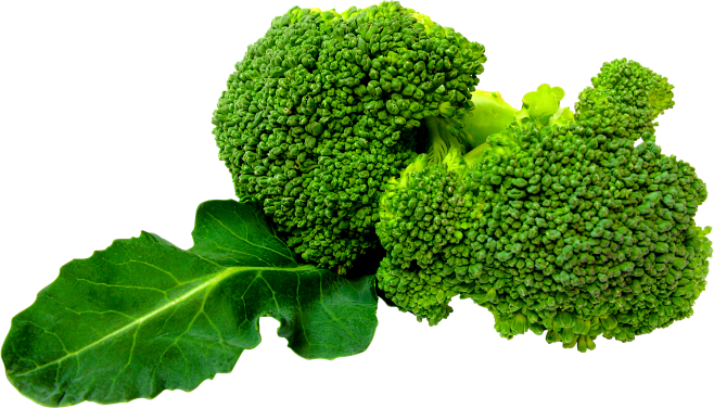 Broccoli PNG