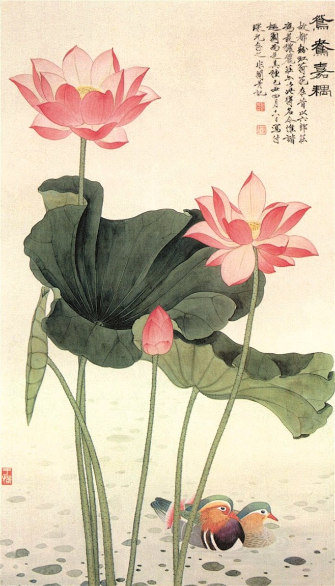 中国风国画荷花