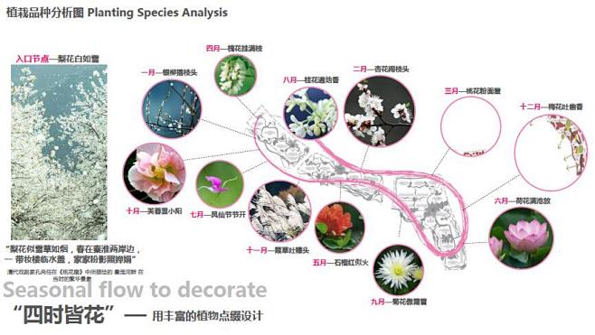 植物分析图-花瓣网|陪你做生活的设计师