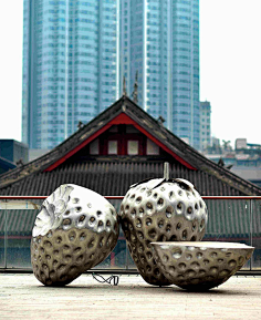横澍都是一采集到景观
