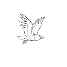 能不搞笑么采集到动画/规律