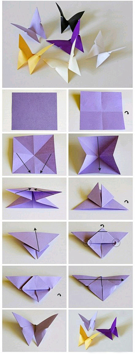 蝴蝶的折法简单图片