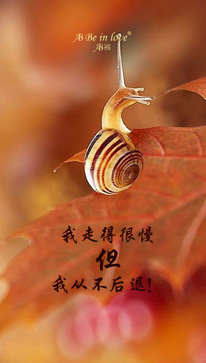 王菇涼ヽ从catherine均转采于2020-04-20 15:57:06蜗牛w-文案-励志