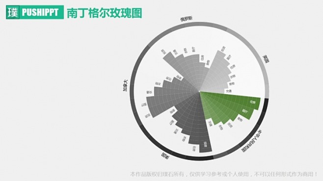 璞石作品-南丁格尔玫瑰图