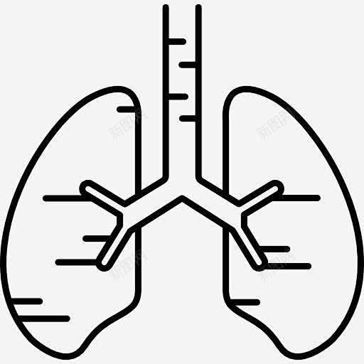 人的肺图标