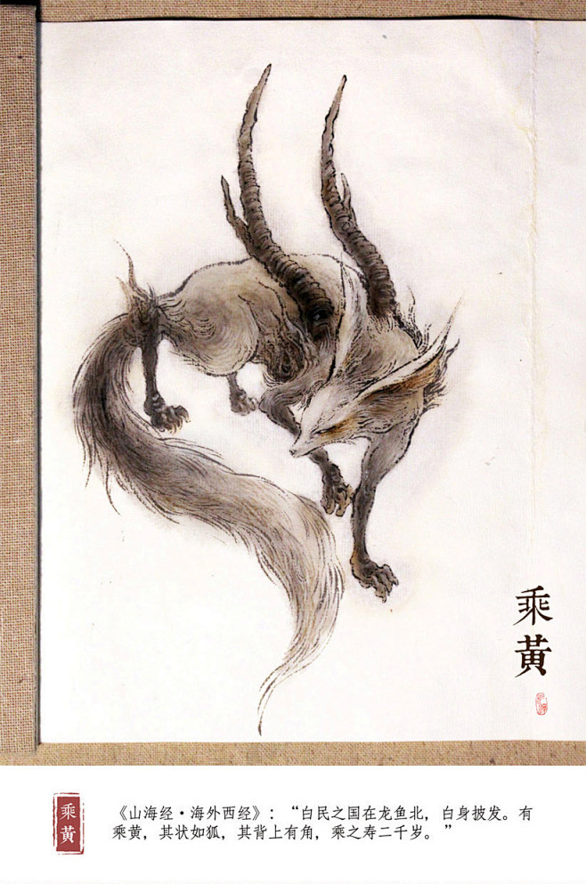 奇异生物-花瓣网|陪你做生活的设计师 | 乘黄@杉泽