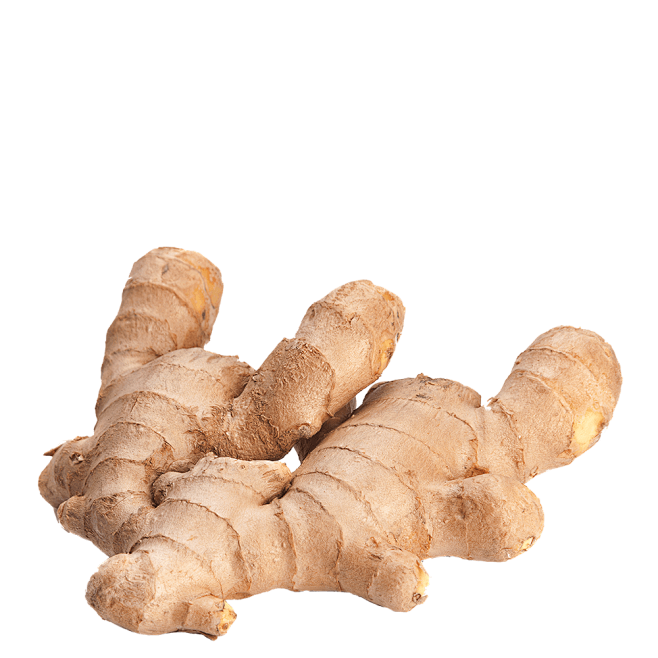 gingerpng