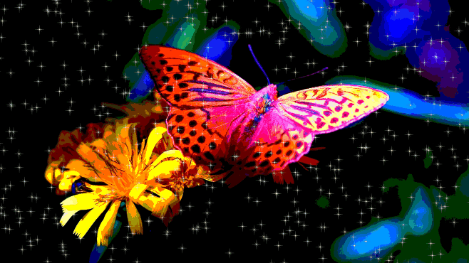 采集花瓣网最大的蝴蝶gif图,点开大图非常好看,可以做电脑背景哦