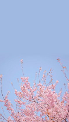 浮白°°采集到壁纸 _ 手机