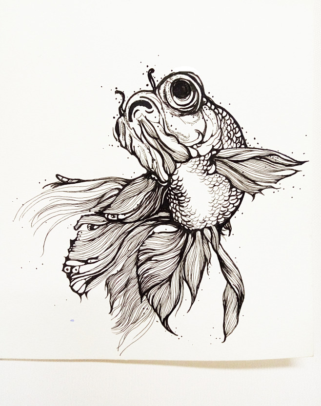 又一条大头鱼手稿黑白插画