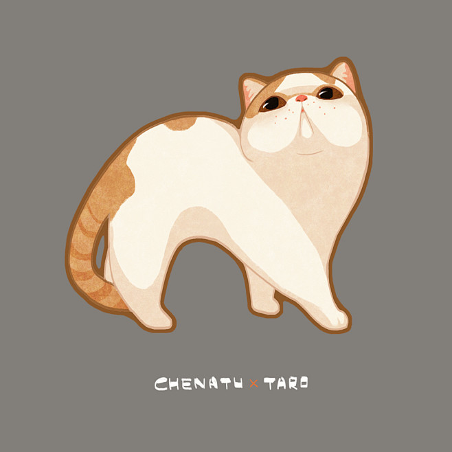 猫卡通猫漫画插画加菲猫